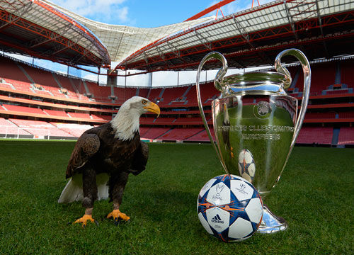 狼队能否复仇WB，拿到大场六连胜？DRG背靠背迎战A组第1，看好DRG！